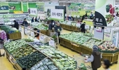 봄철 주요 채소류 가격 안정세 전망