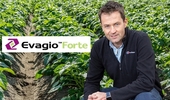 [글로벌 신제품] Syngenta UK, 새로운 마름병 살균제 ‘Evagio Forte’ 출시