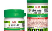 신젠타, 고추 적기 정식과 진딧물 방제 중요성 강조