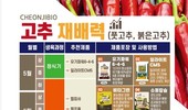 천지바이오, 저온장애 막는 ‘고추 비료 재배력’ 제안
