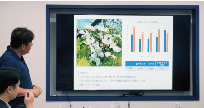 안철현 도프 연구개발팀 수석연구원이 기능성 신제품 ‘플라워나라’를 처리한 사과의 개화율에 대해 설명하고 있다.