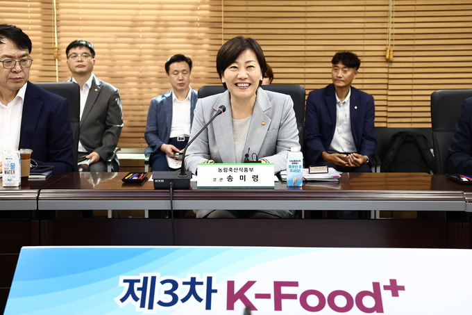 송미령 장관이 이달 20일 서울 에이티(aT) 센터에서 개최된 ‘K-푸드+ 수출확대 추진본부 간담회’에서 인사말을 하고 있다.