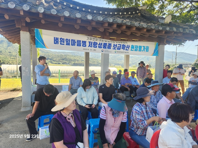 이달 23일 개최된 ‘벼흰잎마름병 저항성품종 보급확산 현장평가회’에는 벼 재배 농가와 시군농업기술센터, 국립종자원, 국립식량과학원 관계자 등 40여 명이 참석했다.
