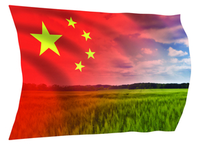 중국 농약산업, 특허만료 제품으로 세계 장악 노린다