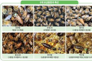 [창간 9주년 특별기획] 인류의 지속적 생존을 위해 꿀벌을 살려야 한다