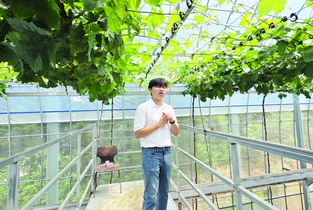 농업생태계를 바꾸는 큐빗(CUBIT) 입체농법 개발