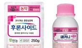 장마철 탄저병 전문약