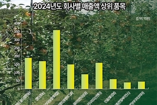 회사별 매출 경쟁 ‘똑똑한 품목’이 가른다