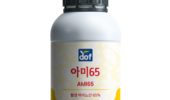 딸기품질·안정적 수확 위해 ‘도프 아미65’ 주목