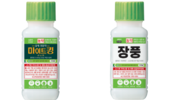 시설 점박이응애, 이젠 연중 방제가 필수