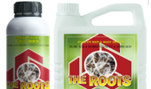 도프 ‘더루츠(The Roots)’, 뿌리부터 살리는 ‘근본 솔루션’ 각광