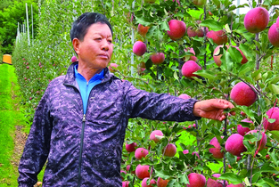 사과나무로 맺은 소중한 인연과 행복