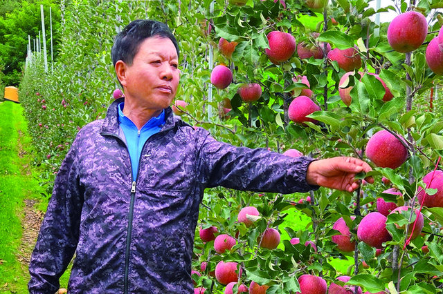 사과나무로 맺은 소중한 인연과 행복