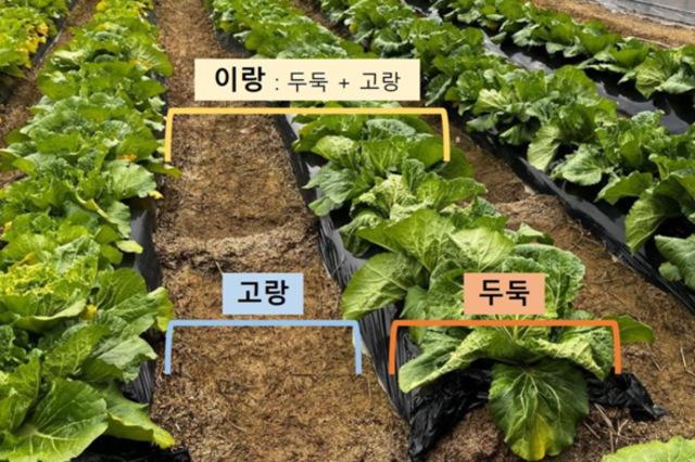 토양처리제초제, 이제 ‘밭고랑’에도 쓴다