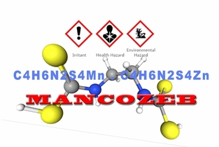 유럽, 만코제브 영구 퇴출…한국이 마주한 미래 '예고편'이다