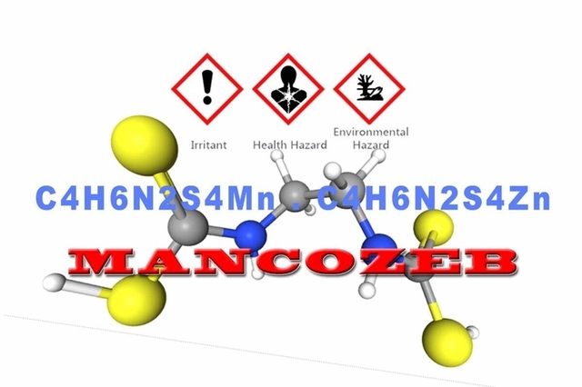 유럽, 만코제브 영구 퇴출…한국이 마주한 미래 '예고편'이다