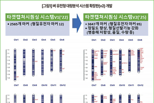 벼 유전형 대량신속 분석해 시장맞춤형 품종 개발