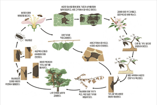 과수화상병! 결코 경계 늦춰선 안 된다